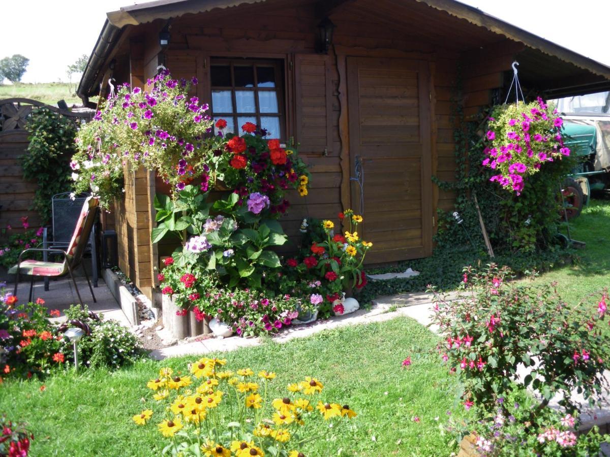 Pension Haus Ludwig Schotten Ngoại thất bức ảnh